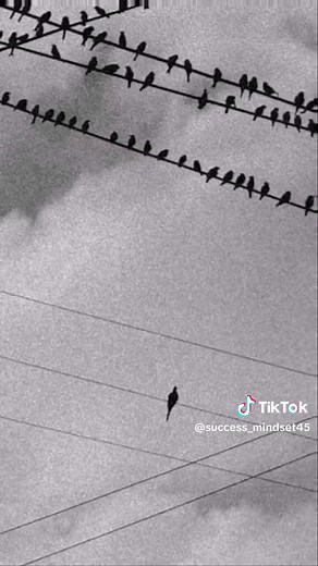 Motivation Wallpaper to Inspire Your Day