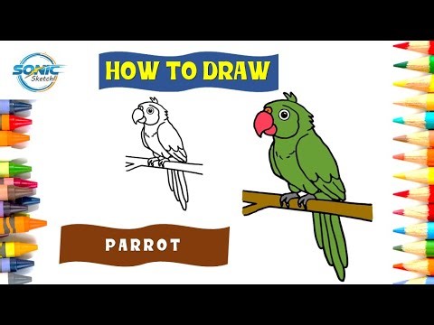 Parrot drawing | Parrot easy drawing for kids | How to draw parrot