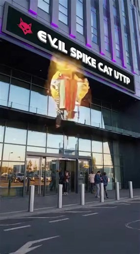evil spike cat UTTP sucks | Pet Cat