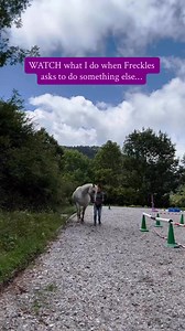 3.1K views · 64 reactions | What do my training sessions really look...