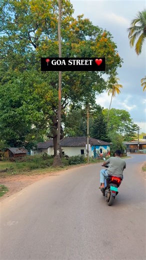 Goa story on Instagram: "Goa street is love ❤️ #goa #streetroad"