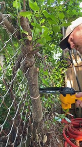 Review of Tietoc 6” Mini Electric Chainsaw