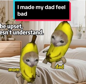 Hilarious Cat Moments That Will Make You Laugh