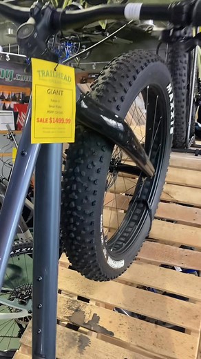 Fat bike dreaming | Trailhead Cycling