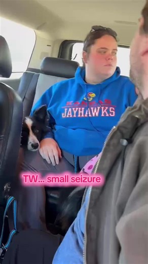 Training a Service Dog for Seizure Response