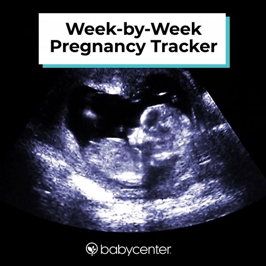 230K views · 1.5K reactions | 擄 Get week-by-week updates, expert insights, and personalized advice on the BabyCenter app. Download now for FREE and stay connected to your baby's development. | BabyCenter | Facebook