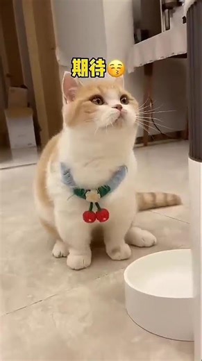 The magical food machine ❤️😍 #shortvideo #shortfeed