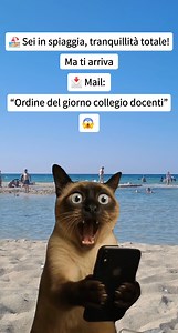 🏖️ Sei in spiaggia. Tranquillità totale. 📩 Mail: “Ordine del giorno collegio docenti” 😱 "Panico. | Maestra Paola De Marco