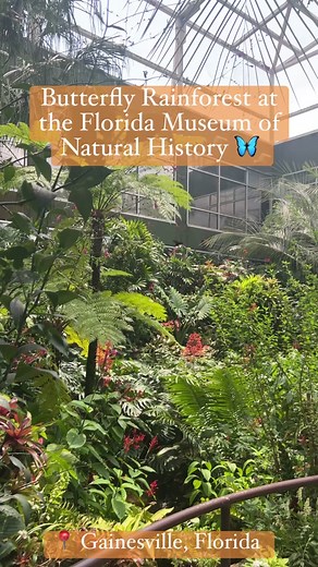 Sista Sledge on TikTok