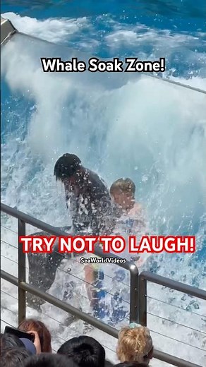 WATCH OUT FOR THE KILLER WHALE WAVE CRASH! 🤣🐳 #seaworld #funny #funnyshorts #comedy #whale #orca