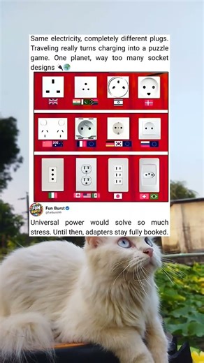 Travel Plug Confusion: Why Are There So Many Socket Types?