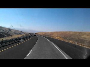 Full Length Cabbage Patch