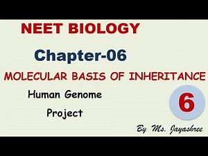 NEET Biology - Genetics - Molecular Basis - 6 - Human Genome Project