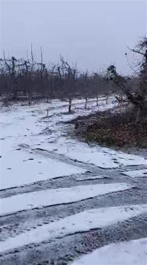 44K views · 667 reactions | Sol sent this from eastern WA, where she...