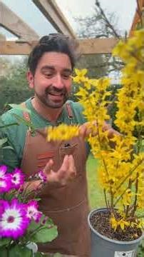 Should you get this plant for your garden? #gardeningtips