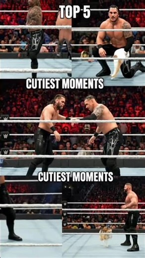 “Cats Doing WWE Moves?! Top 5 Moments 😹🔥” #anime #wwe #gamingshorts