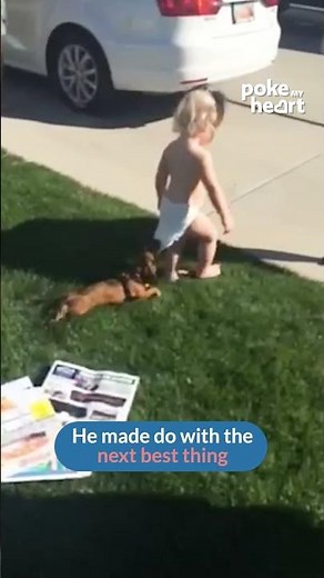 Dog Pulls at Toddler's Diaper