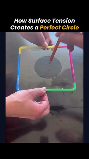How Surface Tension Creates a Perfect Circle 🤯💧 #Shorts