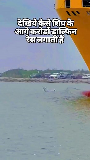 2.7K views · 14 reactions | 麗麗麗 | Merchant Navy | Facebook