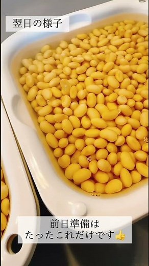 【みそ作り②】前日準備と時期のお話🙋‍♀️手作りみその作り方を簡単にご紹介します♪ #shorts ＃手作りみそ ＃麹