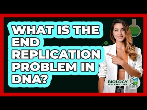 What Is The End Replication Problem In DNA? - Biology For Everyone
