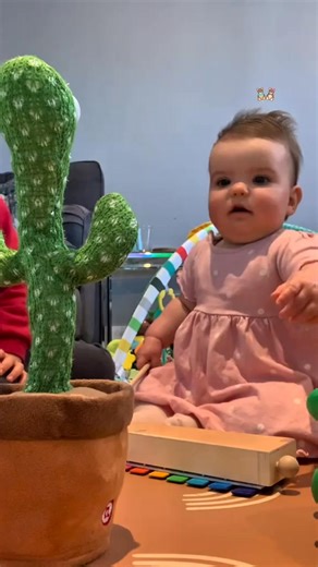 Part 1 ¦ 藍藍藍 Hilarious cactus toy prank compilation  Funny baby reactions, toddler laughs & crying chaos #cactustoy #funnybabies #toddlerlife #babyprank #babytok #parentinghumor #toddl #tiktokpranks | Heart Zing | Facebook