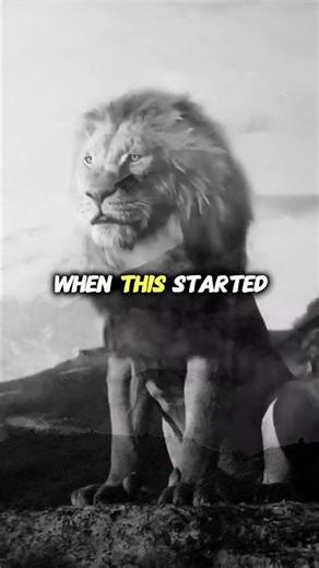 What God Builds, No One Can Break 🔥 #motivation