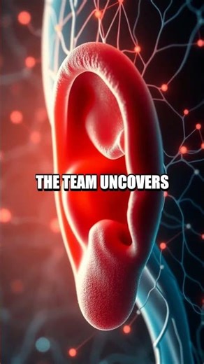 The Echo in the Inner Ear