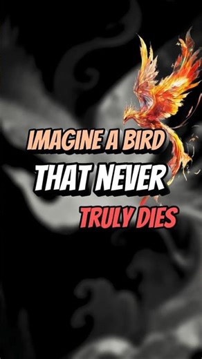 The Phoenix Myth: Death Is Not the End