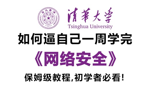 【全500集】B站最全最易懂的网络安全教程，2025最新版，适合所有零基础小白入门网络安全，全程干货学完即就业！