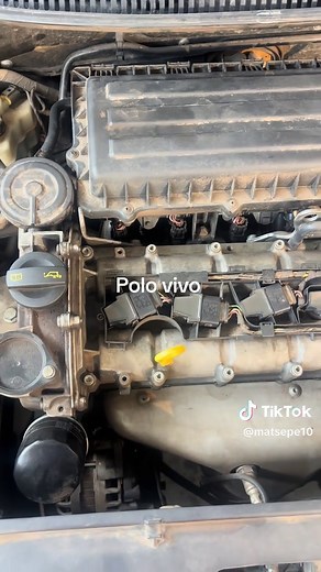 VW Polo Vivo Alternator & Power Steering Issues