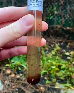 266K views · 1.1K reactions | It’s amazing what’s living in a bucket...