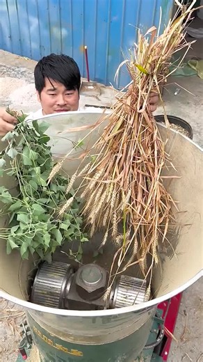 Test Results for New Pellet Machine Performance