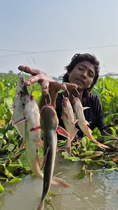 1.2M views · 4K reactions | Amazing hook fishing trap with #fish #video #reels #viral | Easy Fishing | Facebook