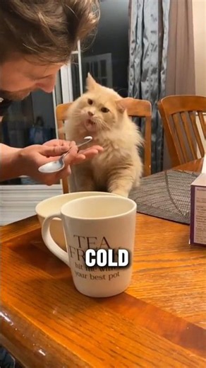 If You Ever Get Brain Freeze From Ice Cream, Here's Why