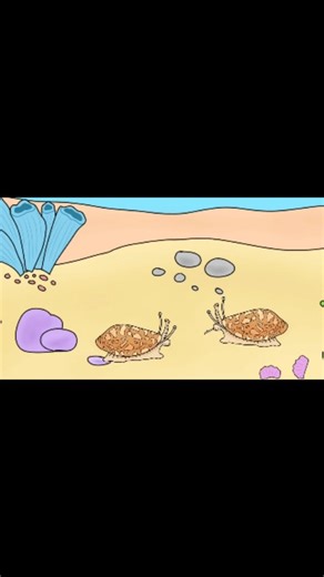 What Gives? on Instagram: "All about slugs 🐌 #slug #animal #mating #viral #insects"