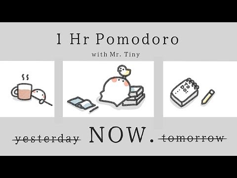 1 Hour Pomodoro |Study with Me Lofi & Focus Beats