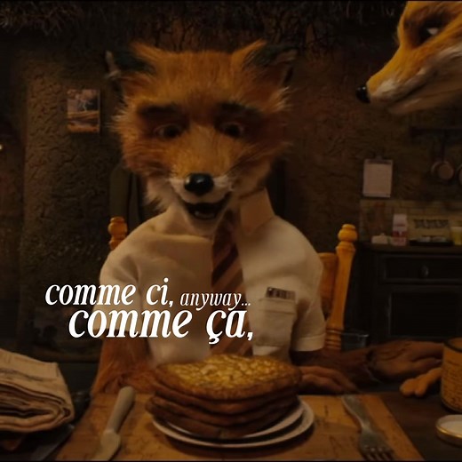 Exploring the Charm of 'Comme Ci, Comme Ça' - A Fantastic Mr. Fox Tale