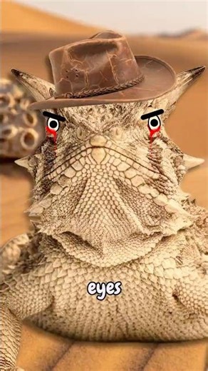 animals with the most embarrassing defense mechanisms