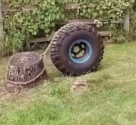 Removing a tree stump using physics.