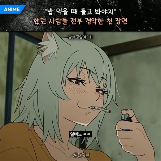 애니 첫 장면부터 기강 잡는 담배 고양이
