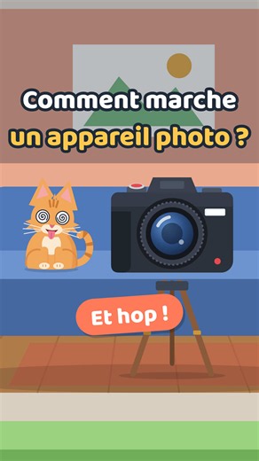 Comment fonctionne un appareil photo : du dessin à la photo