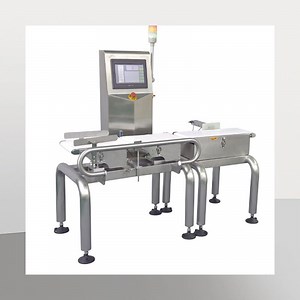[Hot Item] Hot Sale Digital Touch Screen Checkweigher Weighing Scale Machine