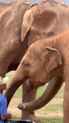 114K views · 7K reactions | Grandma Sangdao delights in her morning...