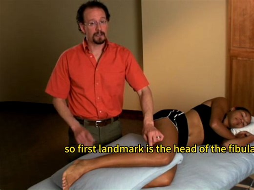 腓骨长短肌触诊 peroneus longus and peroneus brevis palpation（英文字幕）
