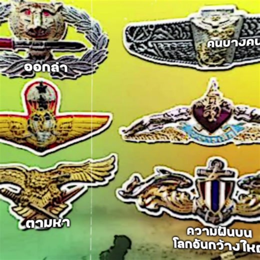 ตามความฝันด้วยหลักสูตรรบพิเศษ