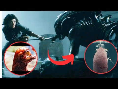 VIDUDU NDANI YA MAPAFU Alien Earth S01E03 - Utanuzi wa Alien Mythology .. #Vidudu #mapafu