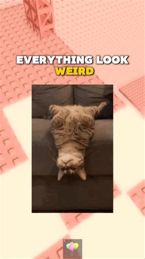 How to get FREE X-RAY VISION! 🦸‍♂️👀 (Roblox) #roblox #rblx #robloxrant #shorts #relatable