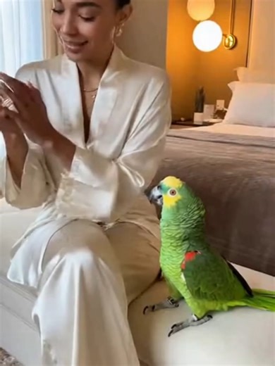 Apparemment elle en a pas eu pour son argent :) #perroquet #animauxdrôles #drole #humour #pourtoi