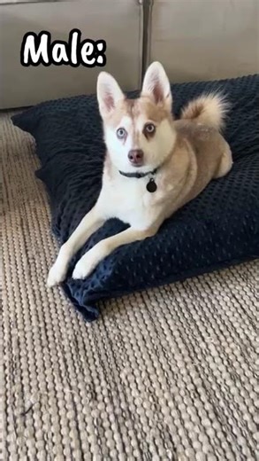 POV: crying for help, two VERY different responses